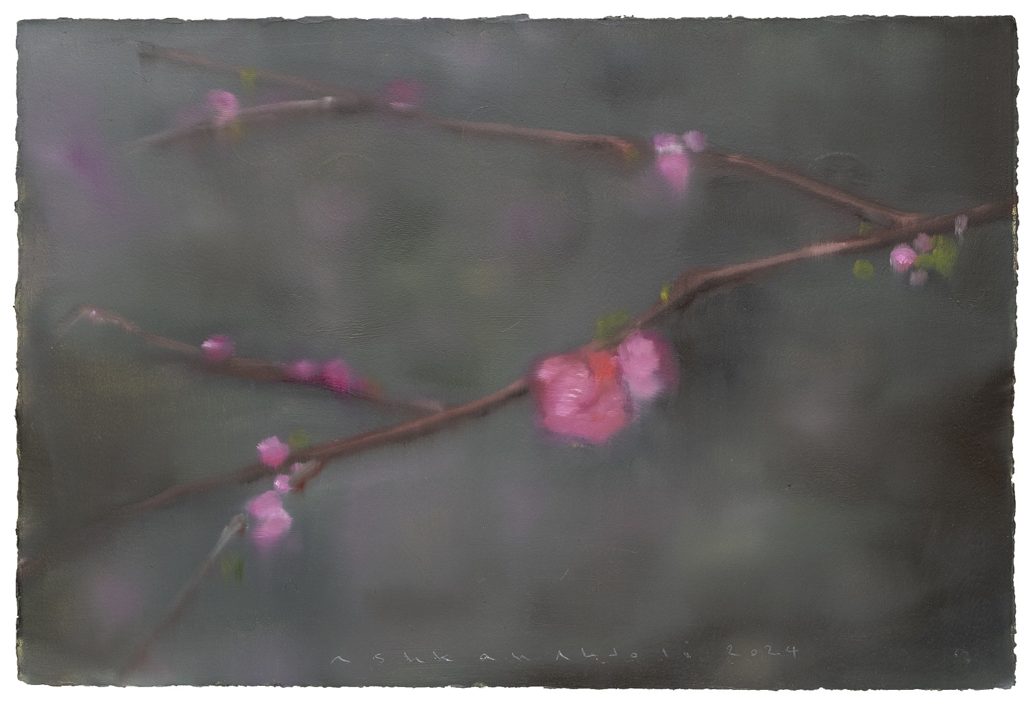 Untitled, oil on cardboard, 38 x 56 cm, 2024