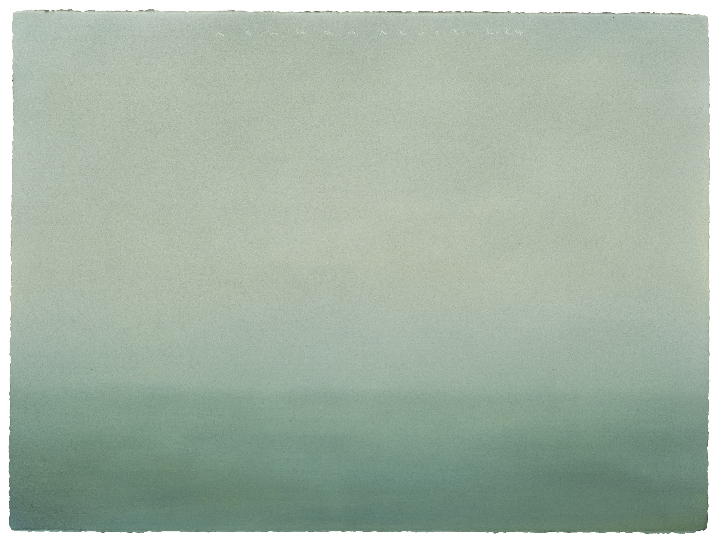 Untitled, oil on cardboard, 56 x 76 cm, 2024